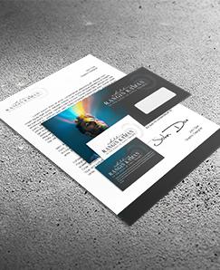 چاپ دیجیتال